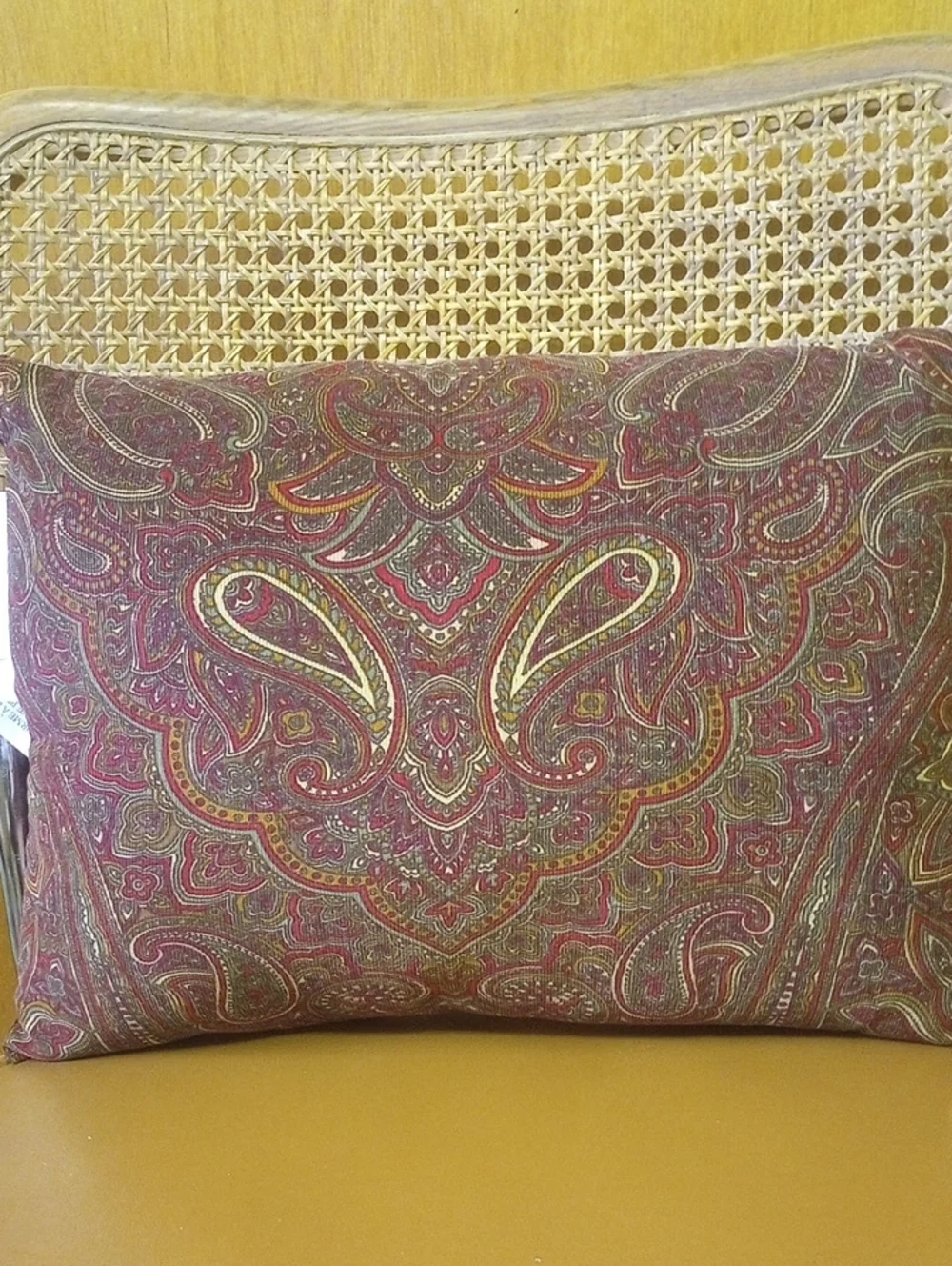 Home Trends Colorful Paisley 12 x 16 Inch Toss Pillow. Red Green Cream Brown